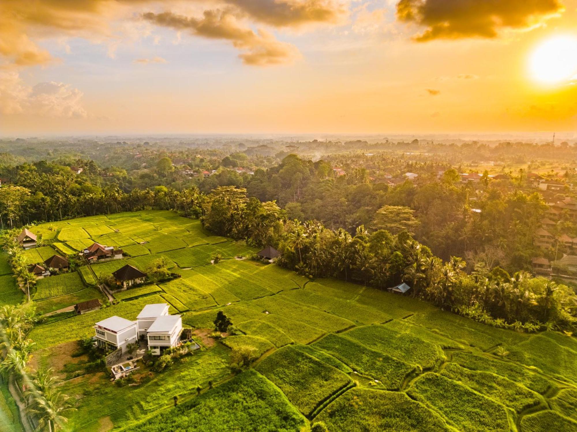 Maple Ridge Ubud Villas Eksteriør bilde