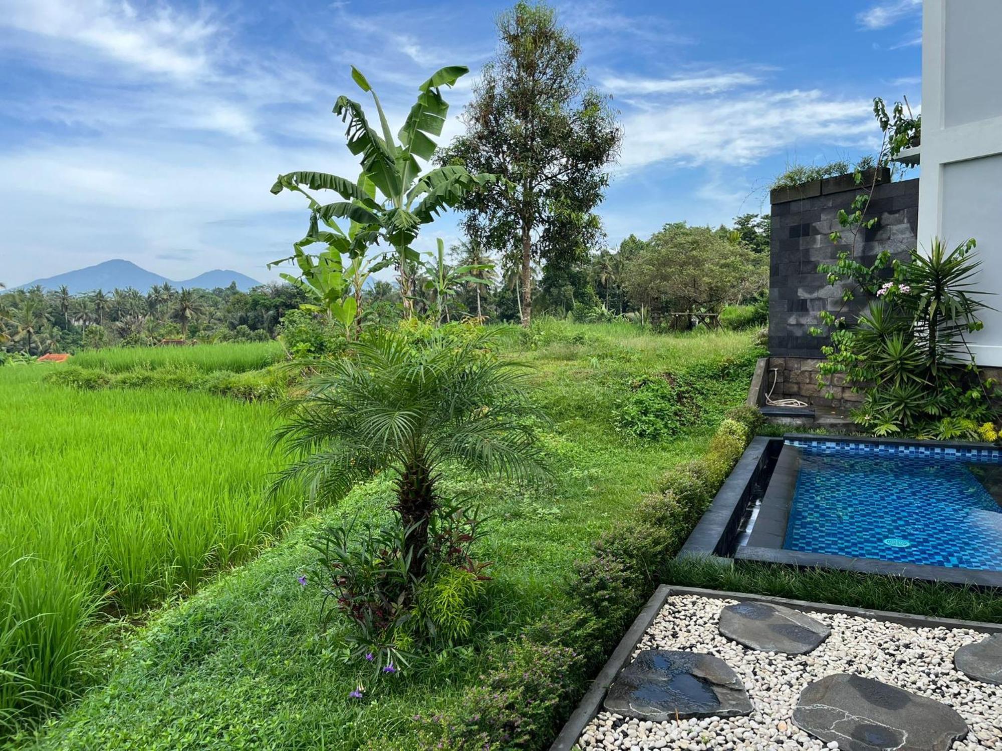 Maple Ridge Ubud Villas Eksteriør bilde